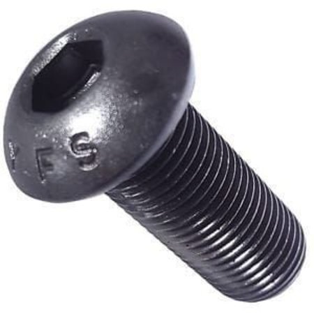 NEWPORT FASTENERS M4-0.70 Socket Head Cap Screw, Black Oxide Alloy Steel, 10 mm Length, 100 PK 231389-100